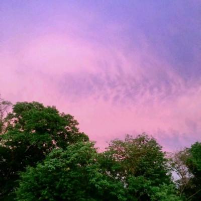 半岛综合娱乐appapp下载