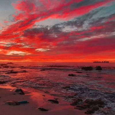 尊龙ag旗舰厅登录截图