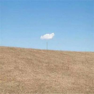 爱游戏平台官方网站