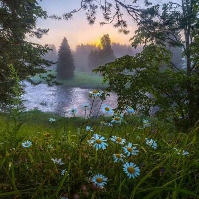 上下分的捕鱼appapp下载