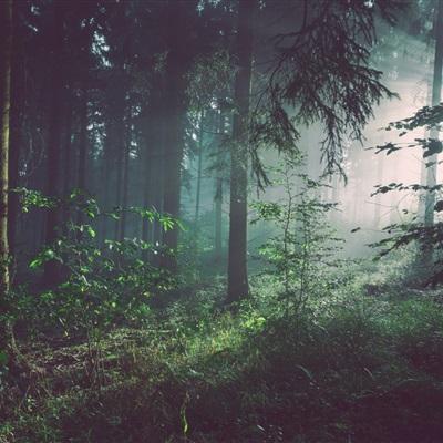 金年会app官方网址